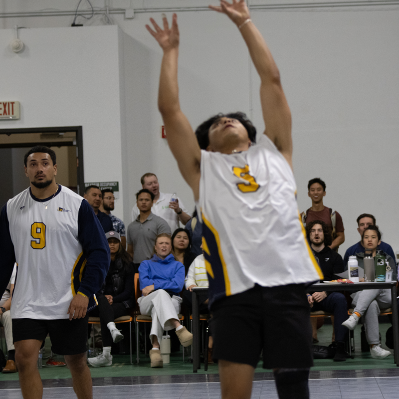 Life Chiropractic College West tweet media