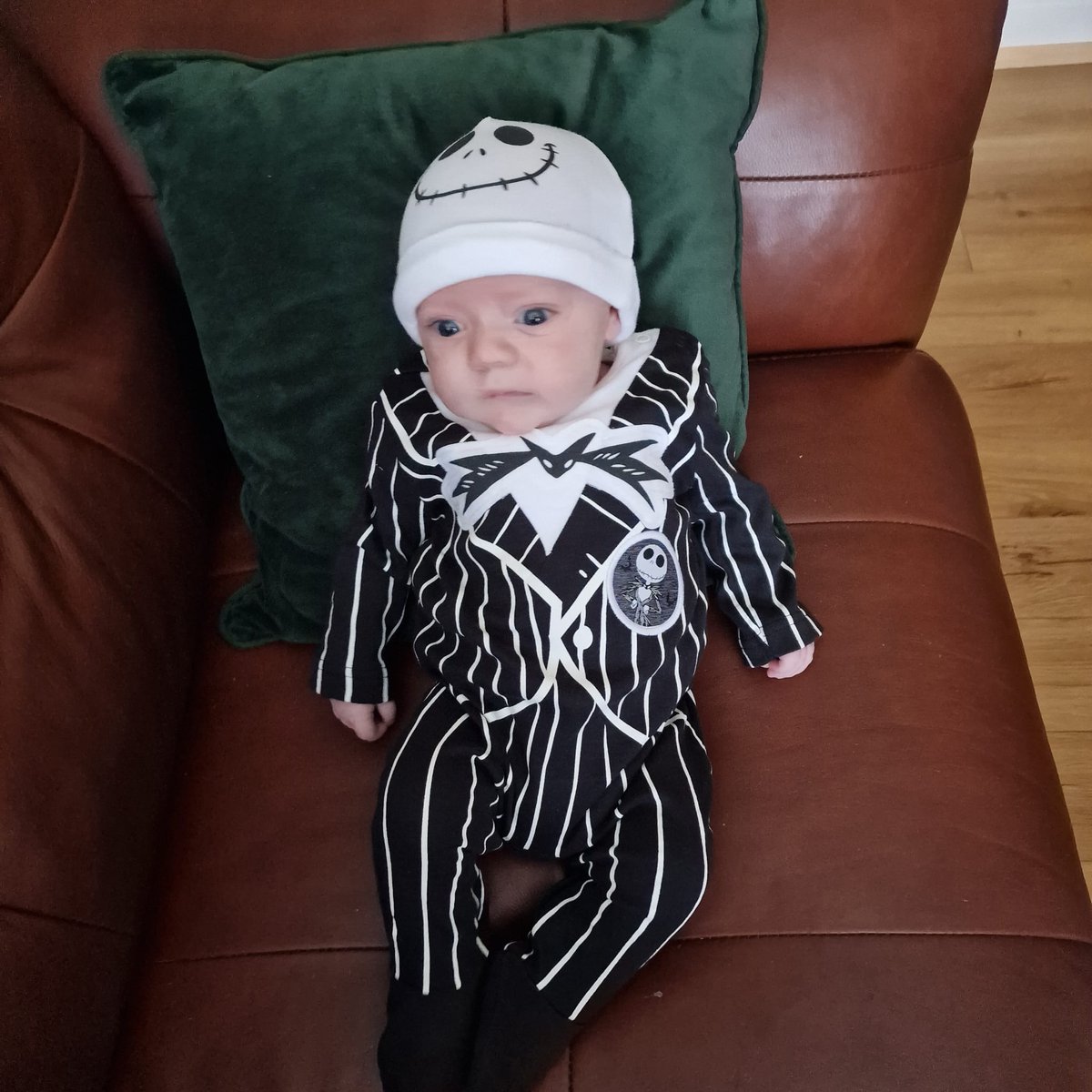 Nicole Fitzsimons tweet media