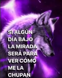 joaocervan yt tweet media