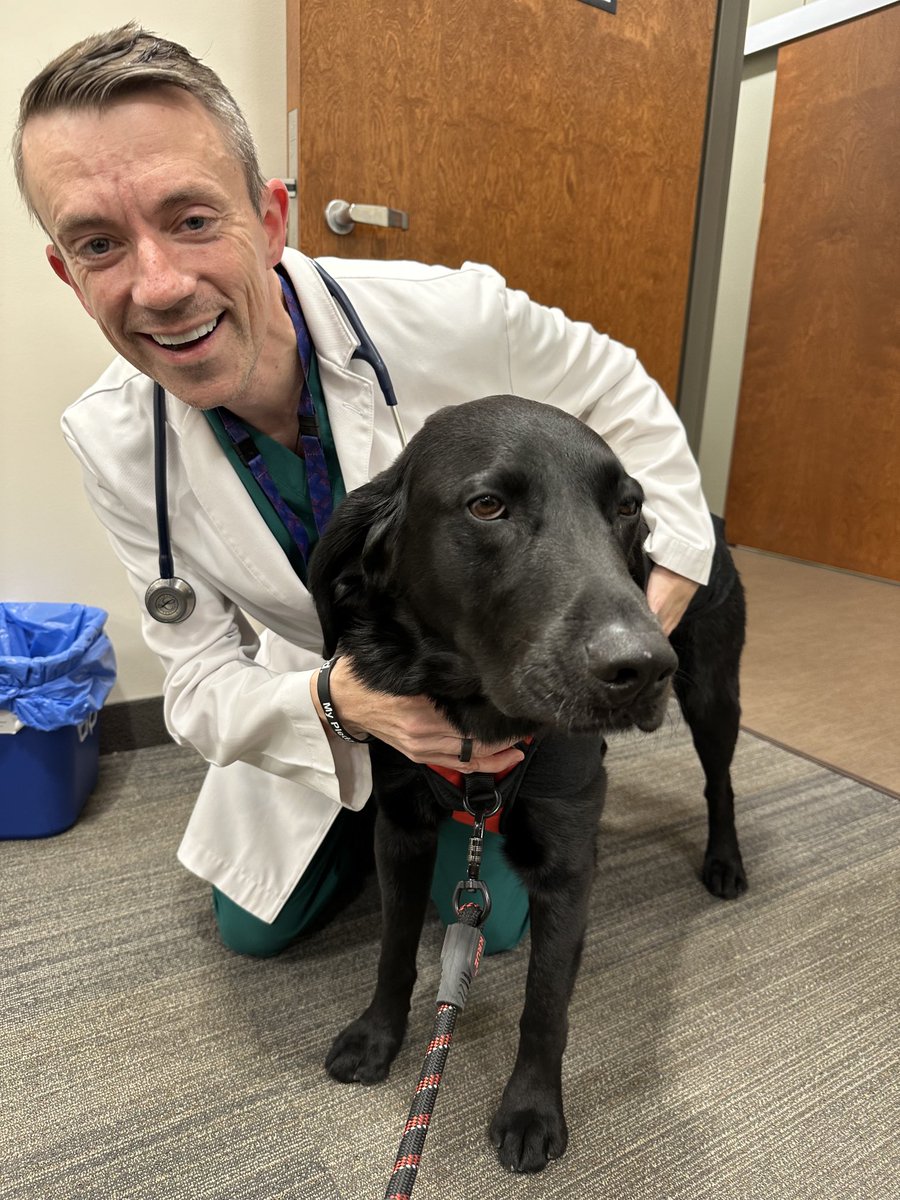 marklewismd's tweet photo. Pictured: a healer who brings all his patients joy and an oncologist #PetTherapy https://t.co/uvHe5o0ZwT