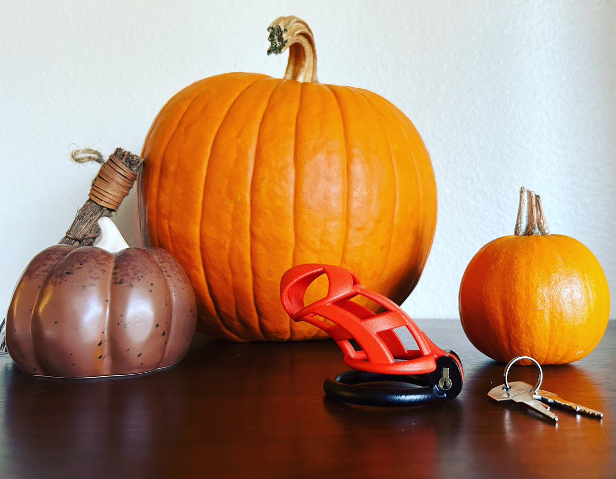 ChastityTech's tweet photo. Happy Halloween!!! Congrats to everyone who made it through #locktober because #NoNutNovember starts tomorrow 😈🎃 https://t.co/jVQjr8dK9e