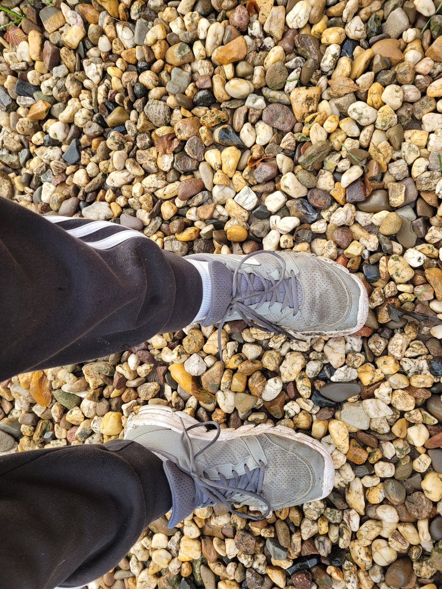 Nach 1300 Kilometer war Schluss. Ich musste wieder ein Paar Laufschuhe beerdigen. Habe Alles gegeben,  die Schuhe auch. RIP 🏃‍♂️
