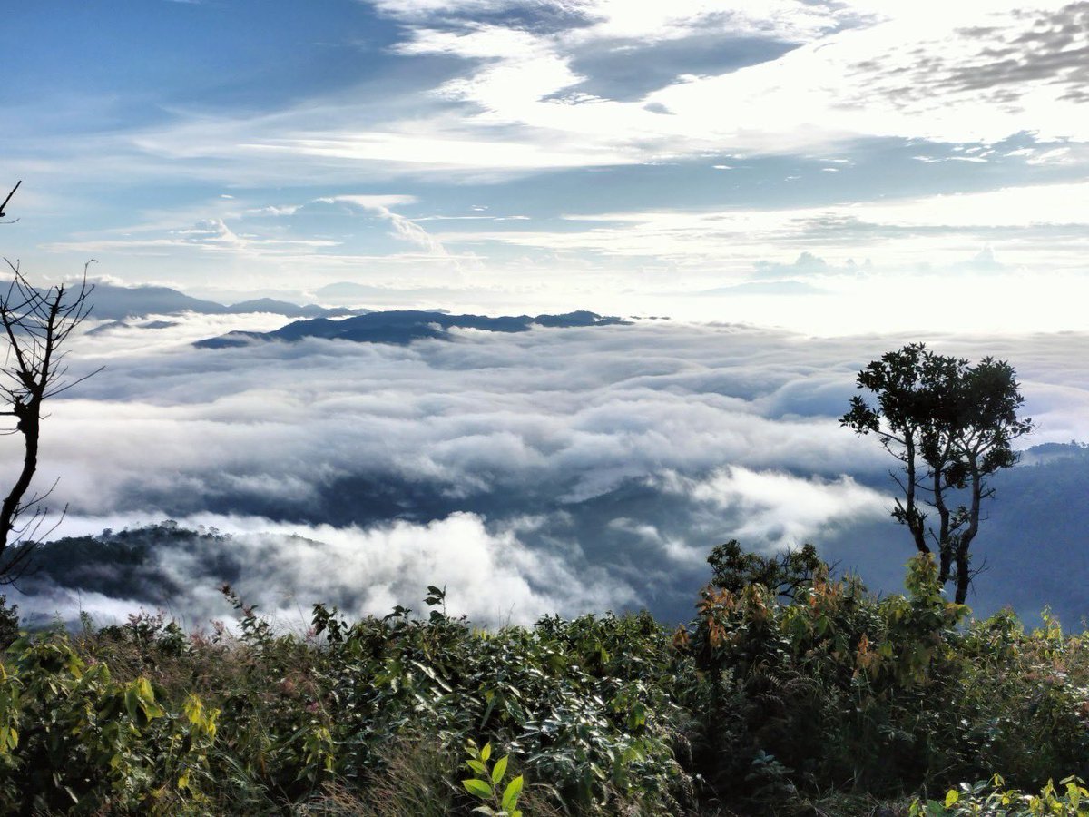 punditdong's tweet image. “คิดถึงเขา จึงเดินไปหาเขา”
#ณ ดอยแห่งหนึ่ง ที่แม่ฮ่องสอน