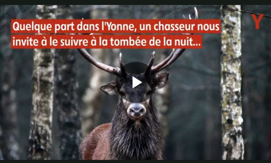 lyonne_fr's tweet photo. Brame, truffes, champignons, petites bêtes, vendanges... Nos #vidéos de l'automne 🍂
▶️https://t.co/vvwFfaU7Dc https://t.co/WYKTf5WTlb