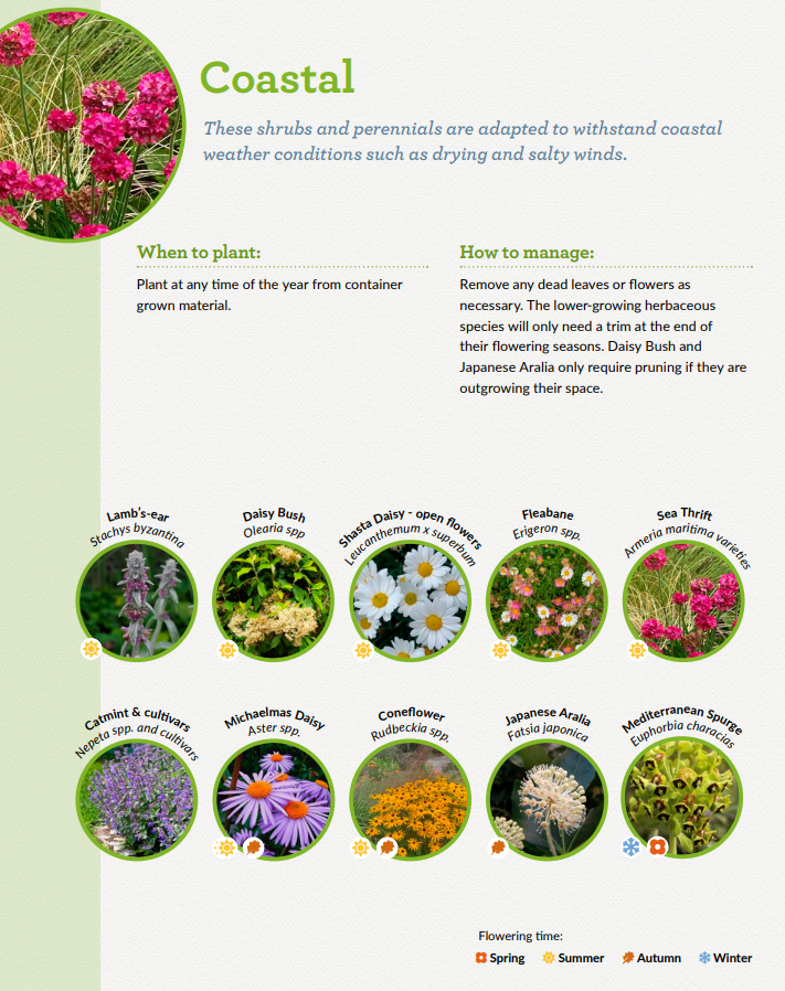 PollinatorPlan's tweet image. Q: Our business is on the coast. Is there specific planting we can plan for 2024?
A: Yes. Check out the *TOP TEN pollinator-friendly plants for different situations* Page 20. tinyurl.com/4vh39y22 @Biodatacentre
#thebusinessofbees #inpollinatorswetrust #cropsecurity