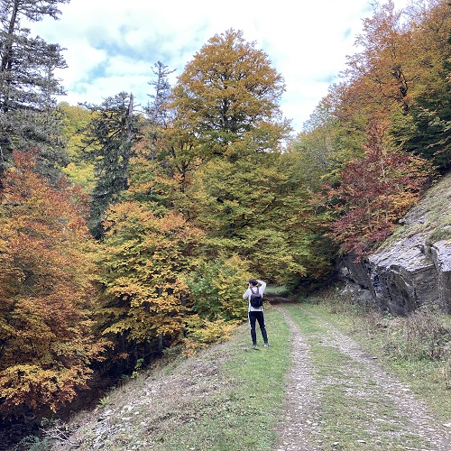 📍 Bosque de Gamueta.

Una joya escondida en lo profundo del Valle de Ansó.  Uno de los bosques atlánticos mejor conservados de nuestro país, ¡imprescindible! Lo mejor de todo es que no está nada masificado. Puedes ir en cualquier momento #anso #valledeanso