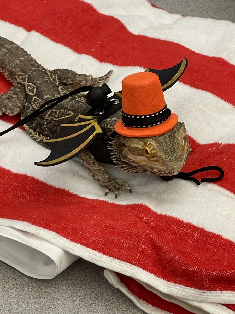 Amy Becker tweet media