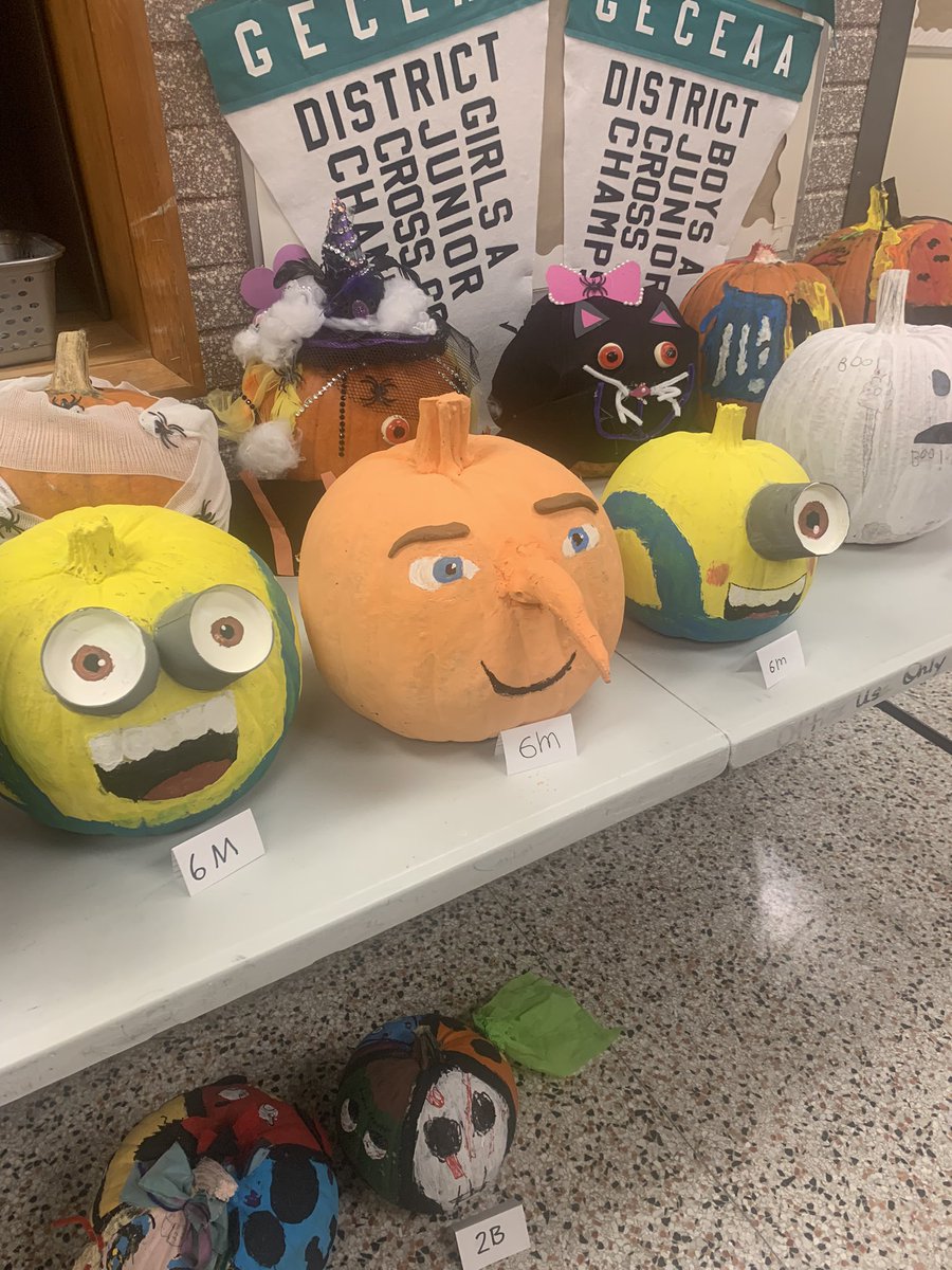 6M Pumpkins <a href="/EagletChirps/">DMEagleNest 🦅</a> <a href="/eagle_dm/">DMEaglePublicSchool</a>