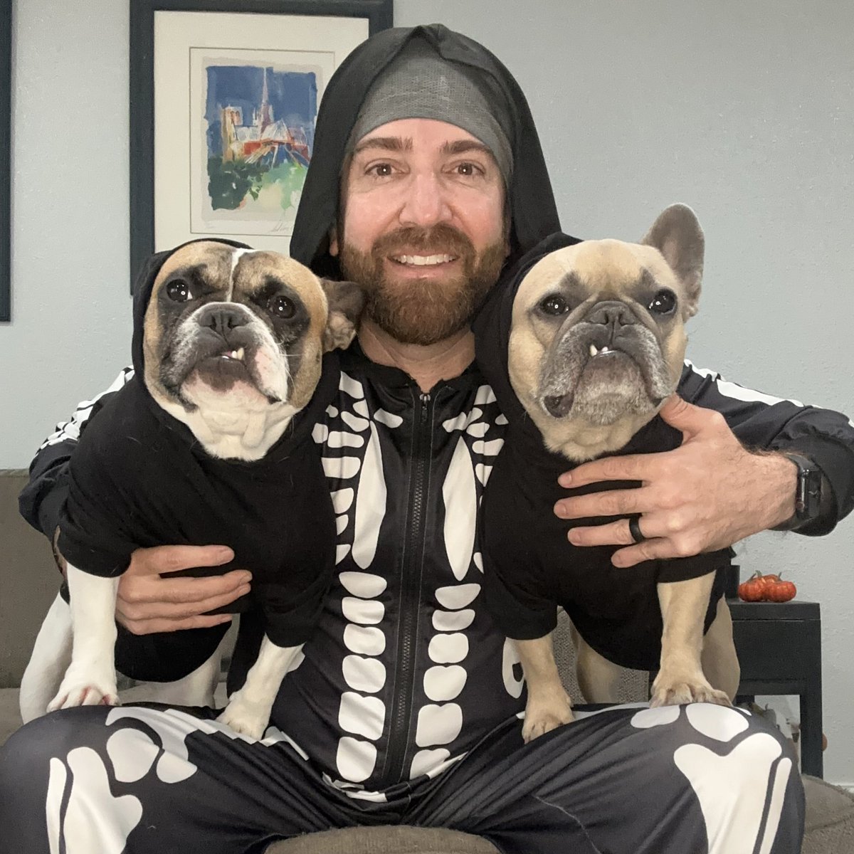 frenchieapollo's tweet image. Wishing you all a happy and safe Halloween!! #donttalktostrangers #checkyourcandy

#happyhalloween #dogparent #trickortreat #strangerswithcandy #halloweencandy #frenchbulldog