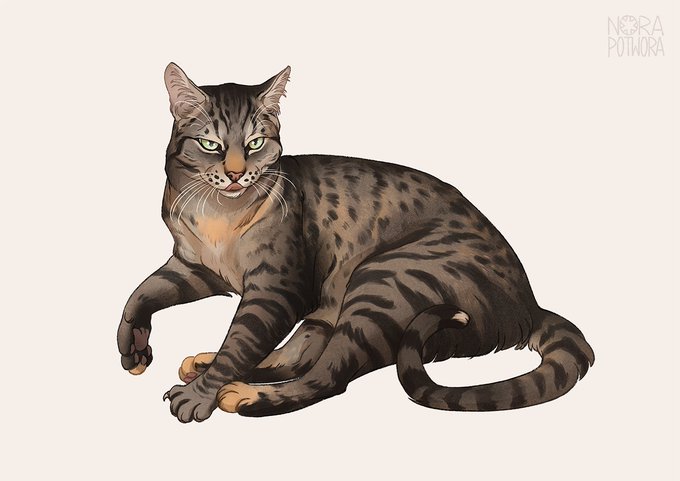 Meet Hannah, a beloved Kate's pet I had opportunity to draw recently!