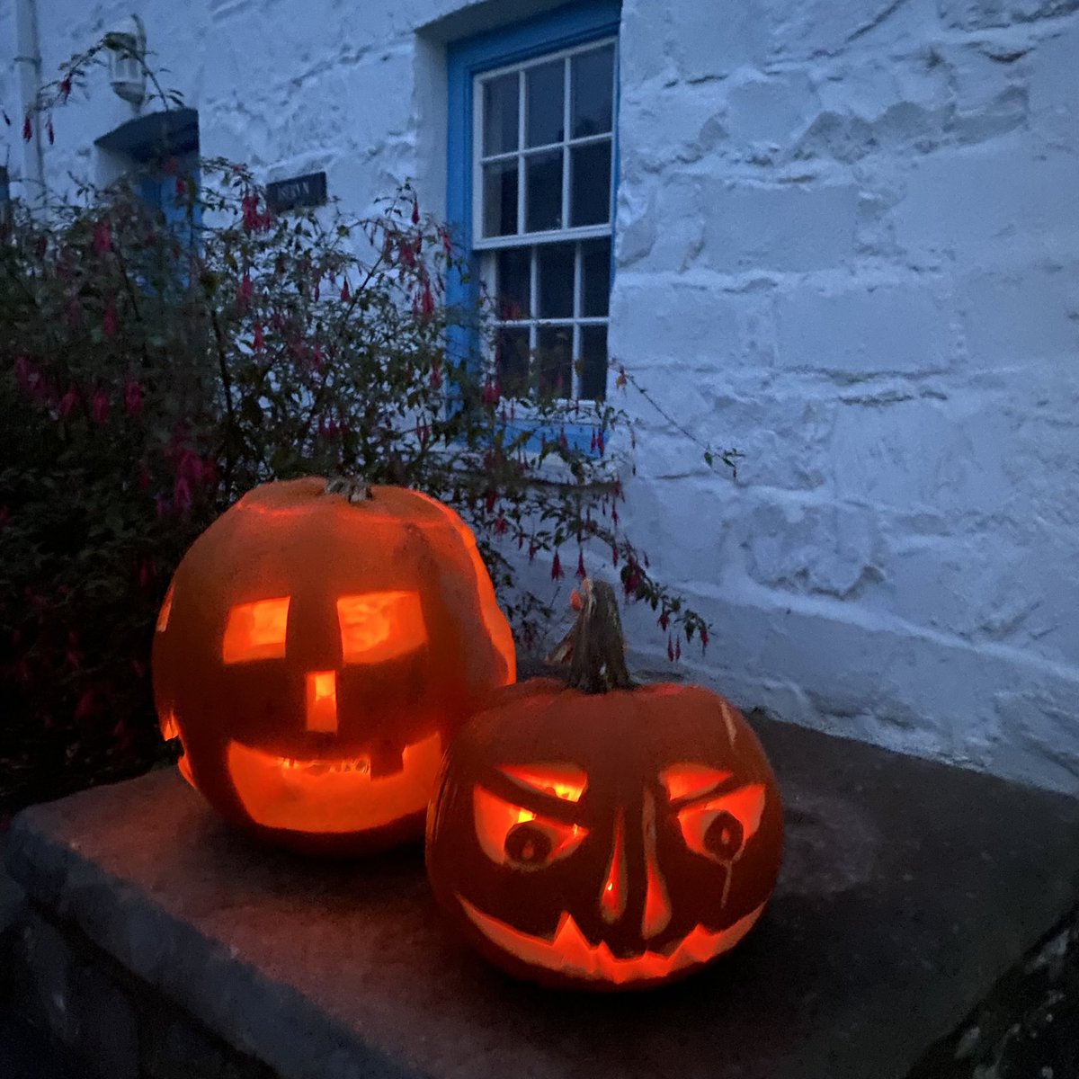 WelshVernacular's tweet photo. Mae'r pwmpenni wedi'u goleuo/
Pumpkins all lit outside our cottage….. 

#welshvernacularantiques #antiquedealersofinstagram #welshvernacular #welshcottage #bwthyn #bwthyncymreig #cottagehome #cottagelife #cottageliving #antiquedealer #pumpkins #pumpkincarving #trickortreating https://t.co/LLXvKk1cqX