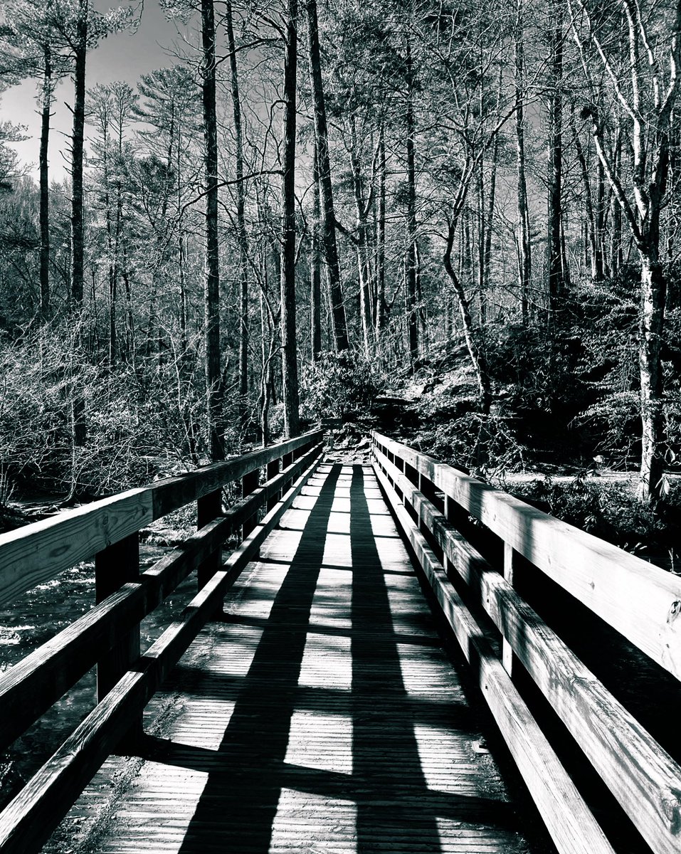 “Shadows of a thousand
 years rise again unseen, 
voices whisper in the trees, 
“Tonight is Halloween!” 👻
- Dexter Kozen