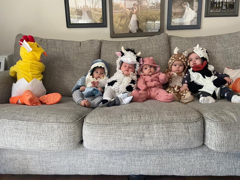 Dave Whiteside tweet media