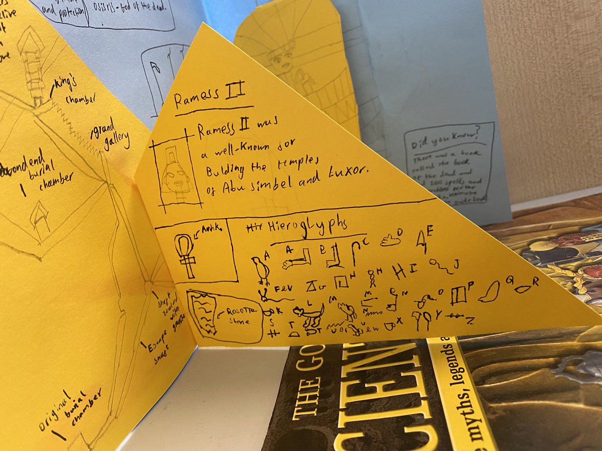 Cliff Lane Kingfishers tweet media