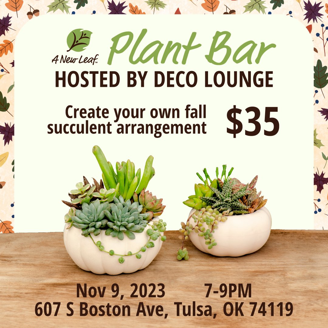 Get your tickets now! Deco Lounge will be hosting our plant bar - $35 gets you all the supplies needed as well as guidance from our staff. Every ticket bought supports our clients!

fb.me/e/1cJ7ATE8y

#ANewLeaf #plantbar #plantlovers #houseplants #succulents #fall #tulsa