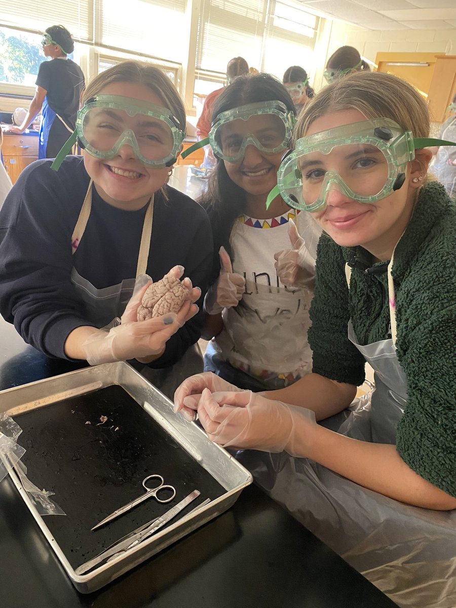 Ms. Doolan tweet media