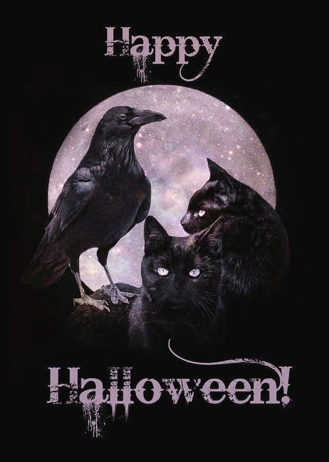 LizzyLepp's tweet photo. HAPPY HALLOWEEN!!! MY FAVORITE DAY!!! 🎃👻🕸🦇🧛🏻‍♀️🧛🏻‍♂️🧟🧟‍♂️🧡🖤 https://t.co/jGm24A1tY4