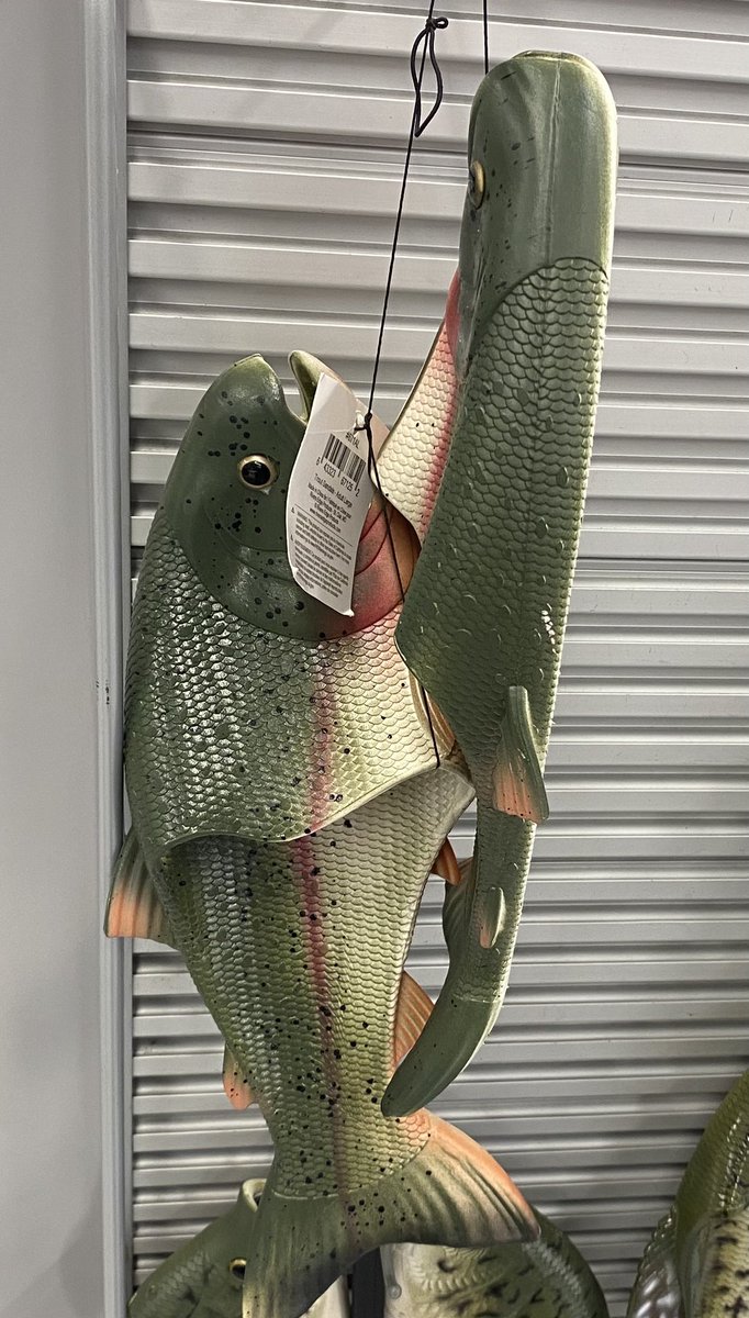 Hey <a href="/Its_TeamEdge/">Team Edge</a>! Y’all should get these for Bobby! 😂