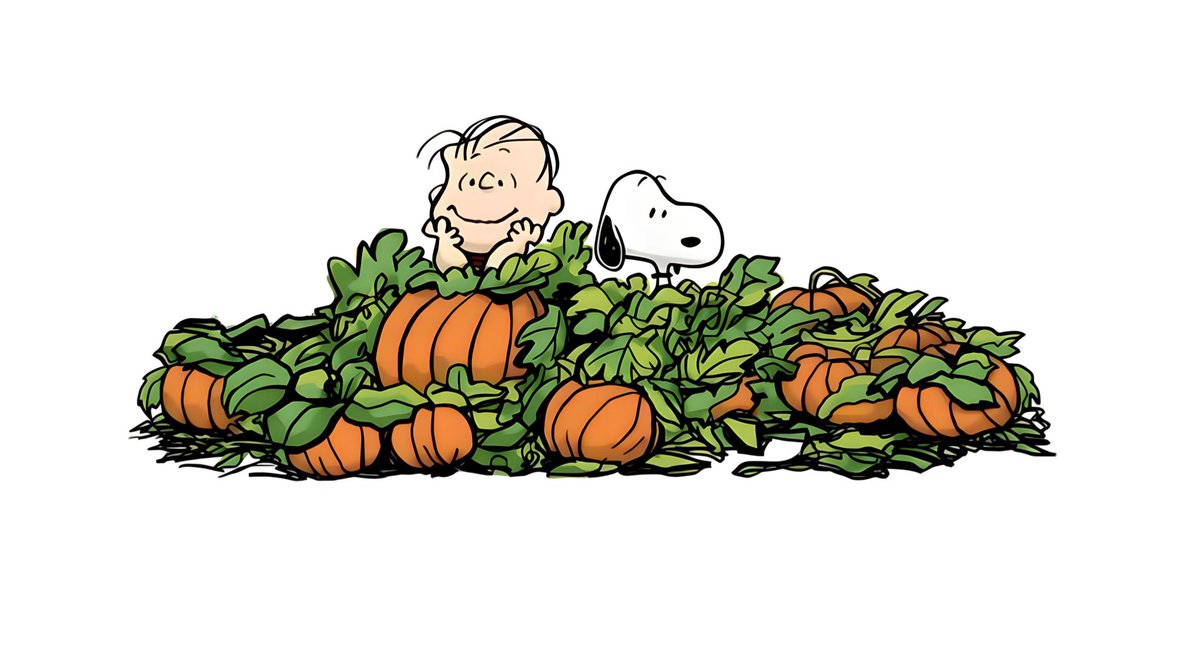 gir1genius's tweet photo. snoopy image of the day https://t.co/omX8VrhUV6