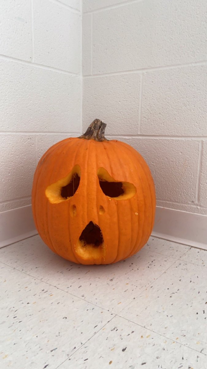 MsSansone1's tweet photo. Pumpkin carving fun with the Grade 2s @SJECES 🎃👻❤️ https://t.co/MGNqjwDSfP