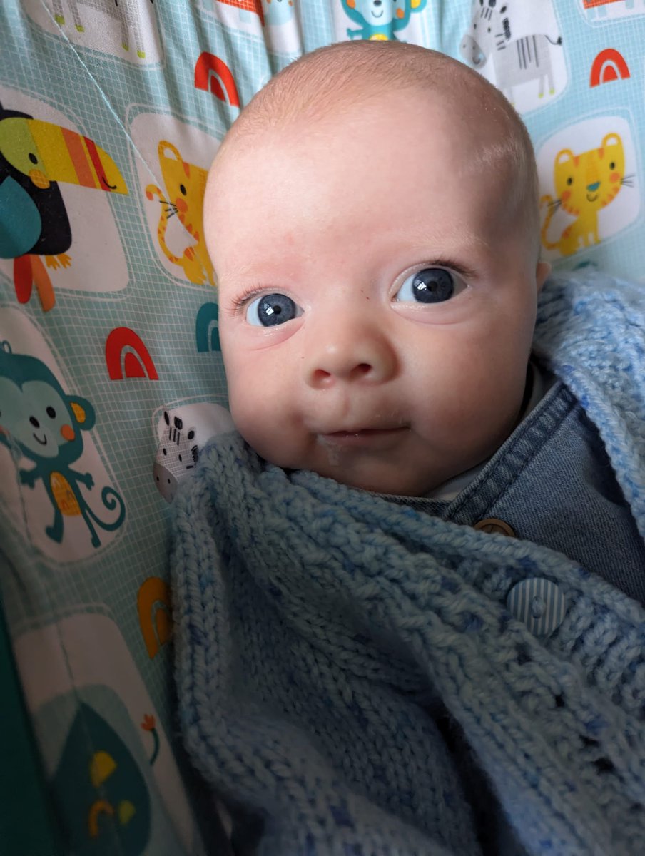 Nicole Fitzsimons tweet media