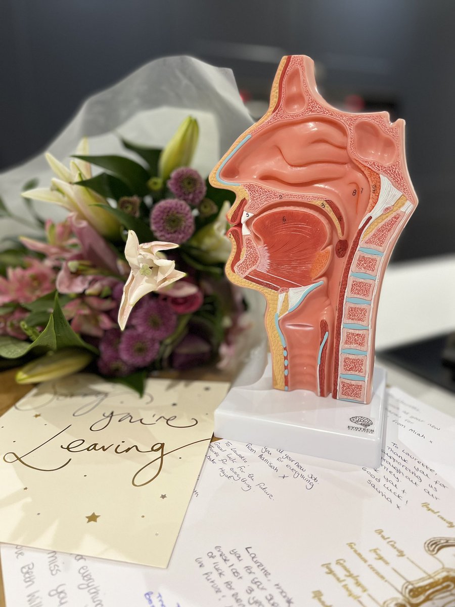 Laurette Tahmassian-Zarneh (@latahzar) on Twitter photo The thoughtfulness from my #SLT team and Year 3 #SLT2B … words have truly escaped me. <a href="/RCSLT/">RCSLT 💙</a> <a href="/SLTHuddsUni/">.</a> <a href="/HuddersfieldUni/">University of Huddersfield</a> <a href="/SLTsocietyhudds/">SLT Society @ Hudds Uni</a> #mySLTday The thoughtfulness from my #SLT team and Year 3 #SLT2B … words have truly escaped me. <a href="/RCSLT/">RCSLT 💙</a> <a href="/SLTHuddsUni/">.</a> <a href="/HuddersfieldUni/">University of Huddersfield</a> <a href="/SLTsocietyhudds/">SLT Society @ Hudds Uni</a> #mySLTday