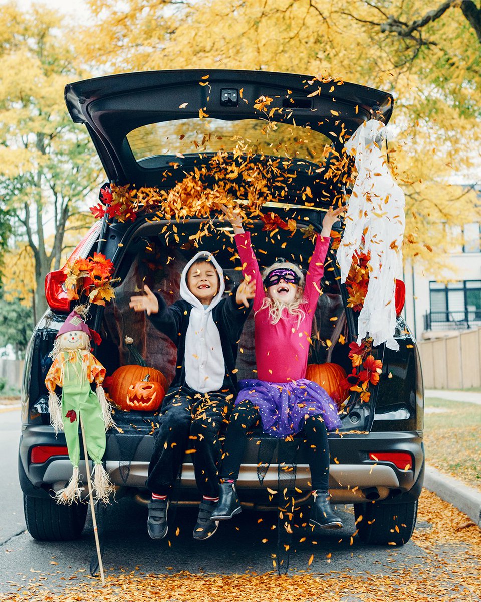 Bust ghosts, not tires this Halloween. Be sure to stay safe on the road and watch out for trick or treaters.

🎃 Happy Halloween from the Team You Can Trust! 🎃