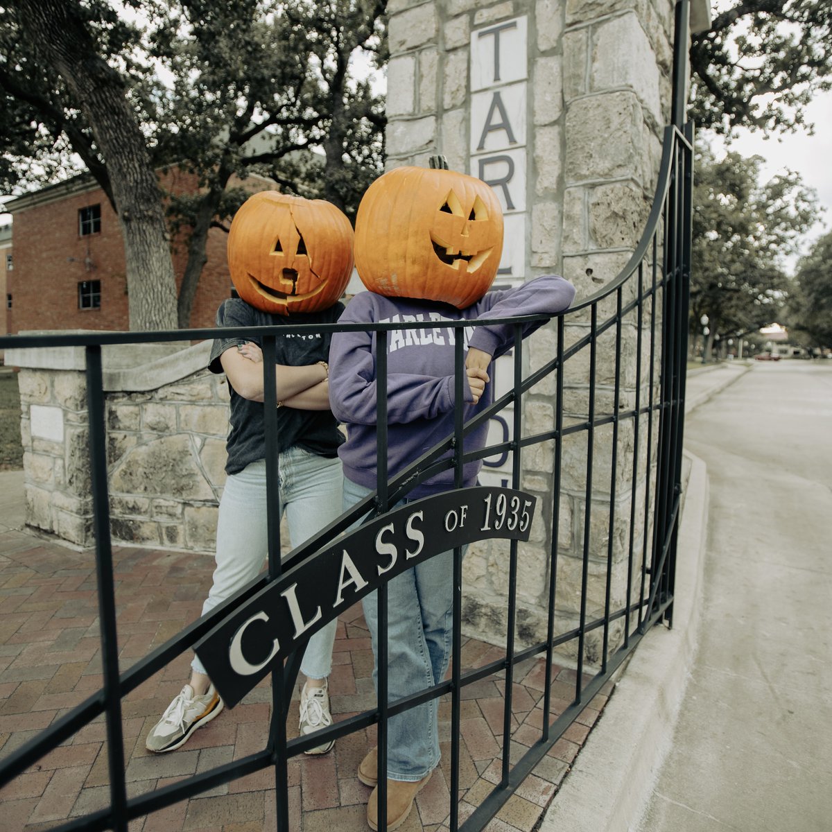 TarletonState's tweet photo. Tarleton State Jack-O-Lanterns hope you have a Happy Halloween, Texans! 🎃 💜 

#TarletonState #BleedPurple https://t.co/lHJsAVcrVe