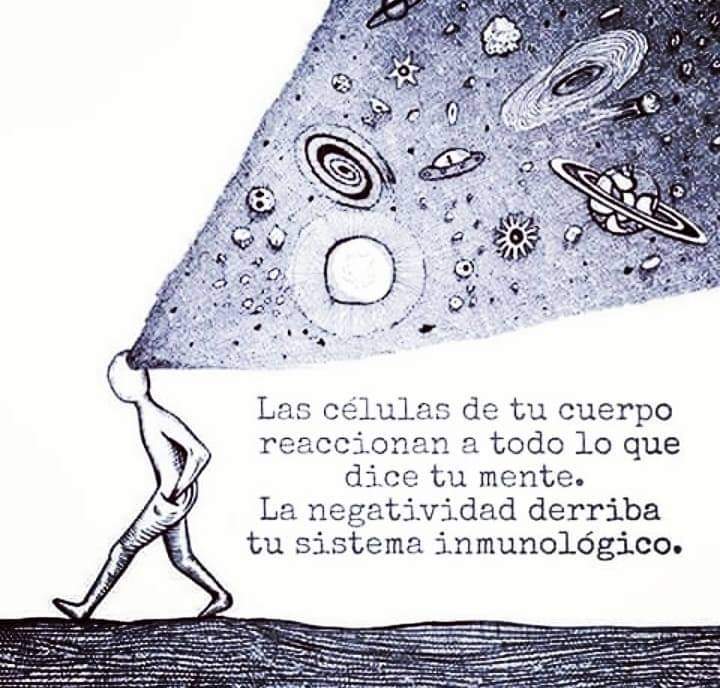Las células...