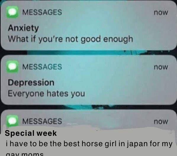 Kitty (@pilearcato) on Twitter photo 