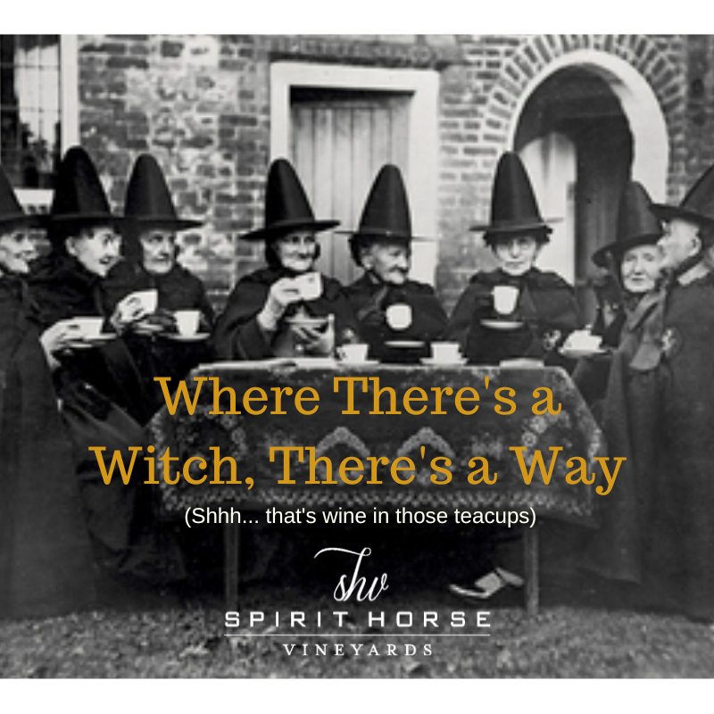 Happy Halloween from Spirit Horse Vineyards. 

Enjoy all the wine - purchase your via link in bio. 

#happyhalloween #witchtime #witches #witchy #winewitch