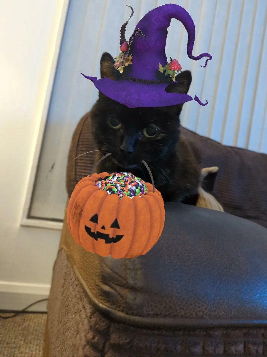 Lizzi_Lewis's tweet photo. @PepsiMaxUK Happy Halloween

#PepsiMAXHalloween https://t.co/HjWvsfoUyQ