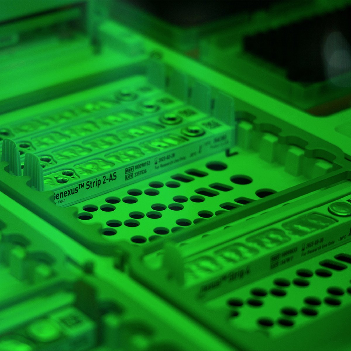 AxionaGenetics's tweet image. Los análisis de Secuenciación de Nueva Generación (NGS)  han demostrado ser una herramienta valiosa en el pronóstico, diagnóstico y tratamiento de distintos tipos de cáncer, incluido el #cáncerdepróstata.