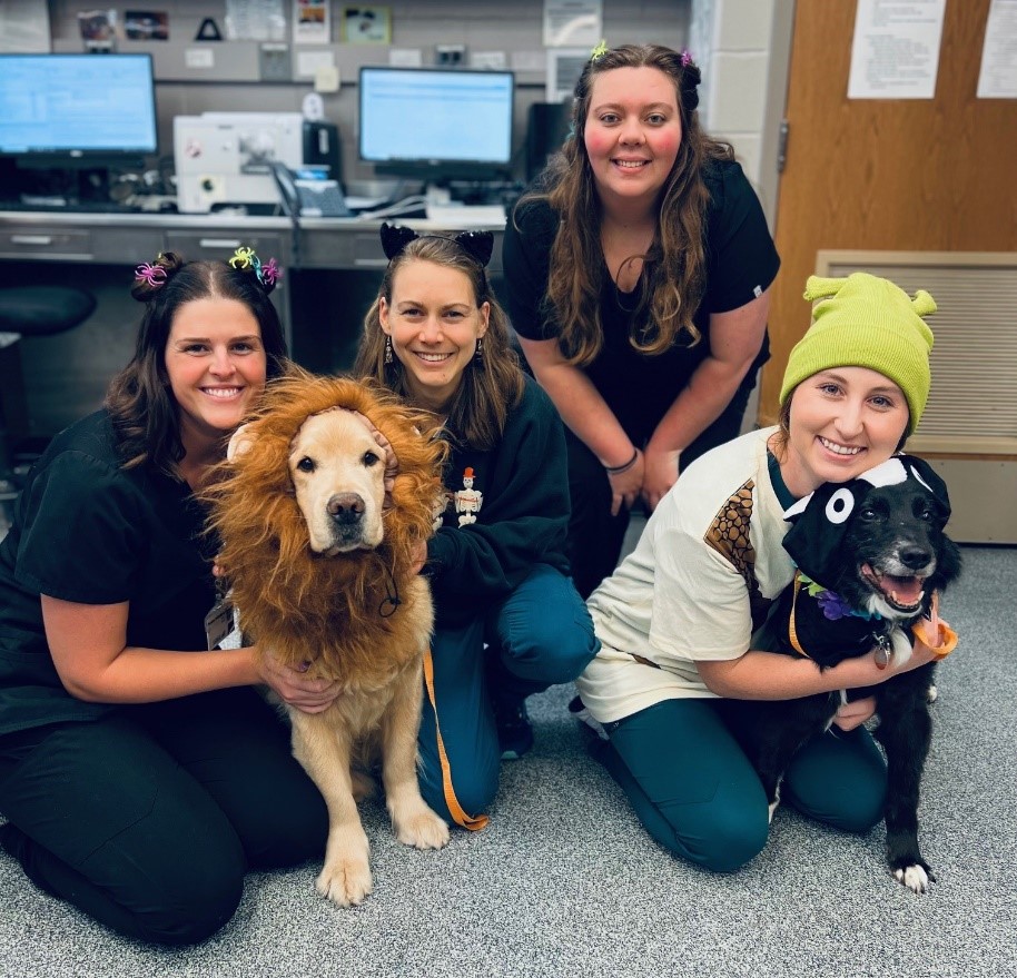 🎃 Greetings from the Medical Oncology team! On this #Halloween, our team is delighting in festive fun with patients like Miss Daisy (as Nemo), Reagan (the lion), and Jasper (our little skunk). Share your pet's Halloween look with us below! 🦁🐠🦨 #PetCostumes @lifeatpurdue