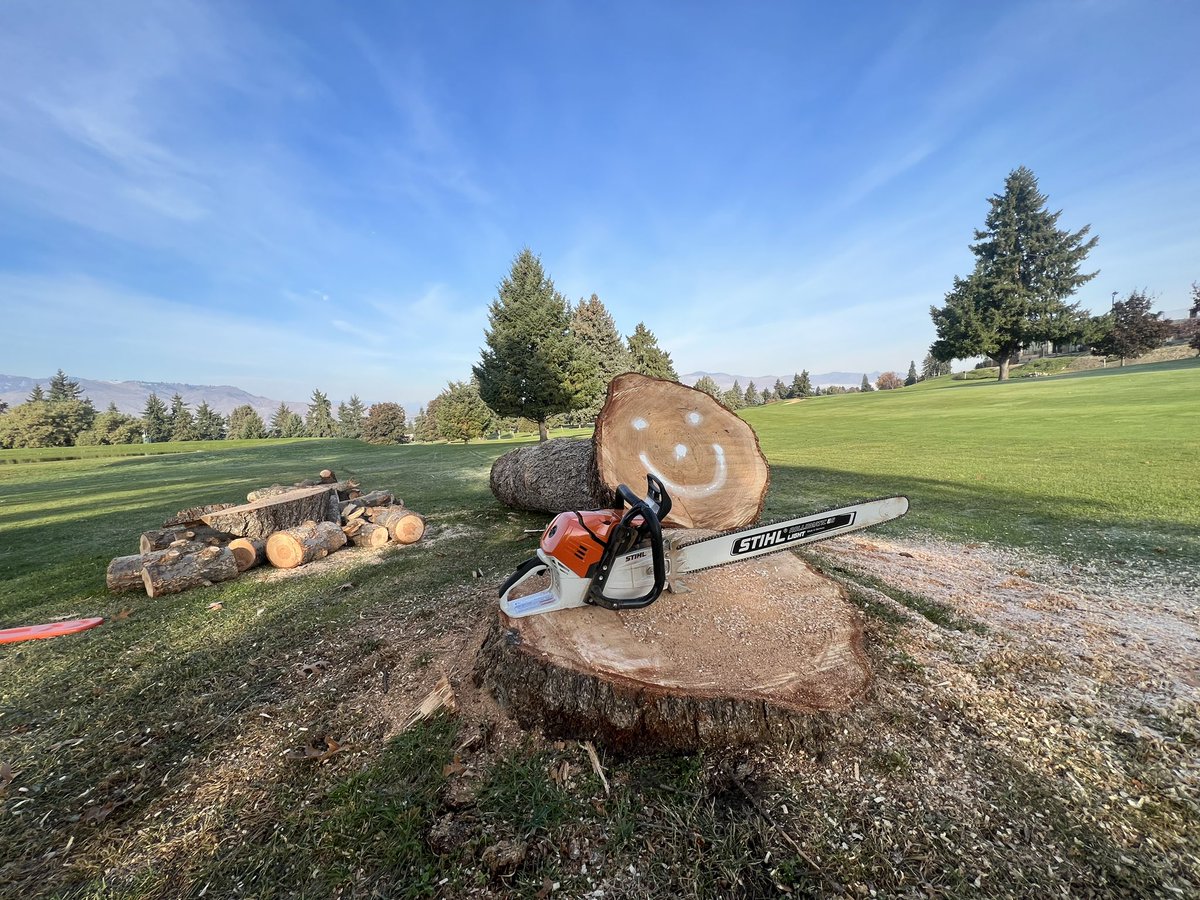 Chainsaws make me happy