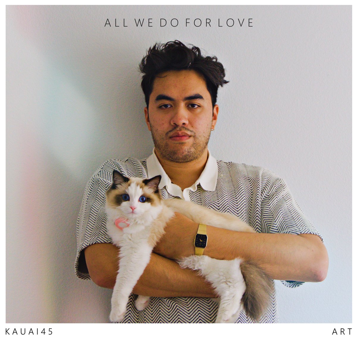 All We Do For Love | 11/8 🐱