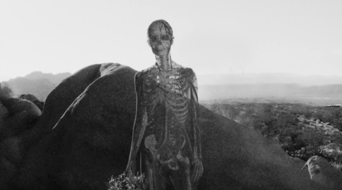 ElderGladePub's tweet image. "The worldbuilding is exquisite"

DIVINITY a retro scifi thriller
"what the film lacks in commercial appeal it more than makes up for in a seemingly unending supply of creativity."
@TracedThurman &amp;amp; @BDisgusting
#EddieAlcazar #StephenDorff @BellaThorne
 👇
bloody-disgusting.com/exclusives/378…