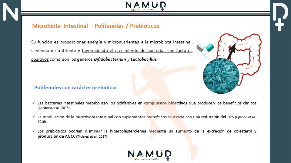 La microbiota intestinal influye en la salud gastrointestinal y se investiga su impacto en atletas. El ejercicio previene enfermedades, fortalece el sistema inmunológico y mejora la fisiología. La microbiota puede ser modificada por suplementos y afectar el rendimiento deportivo