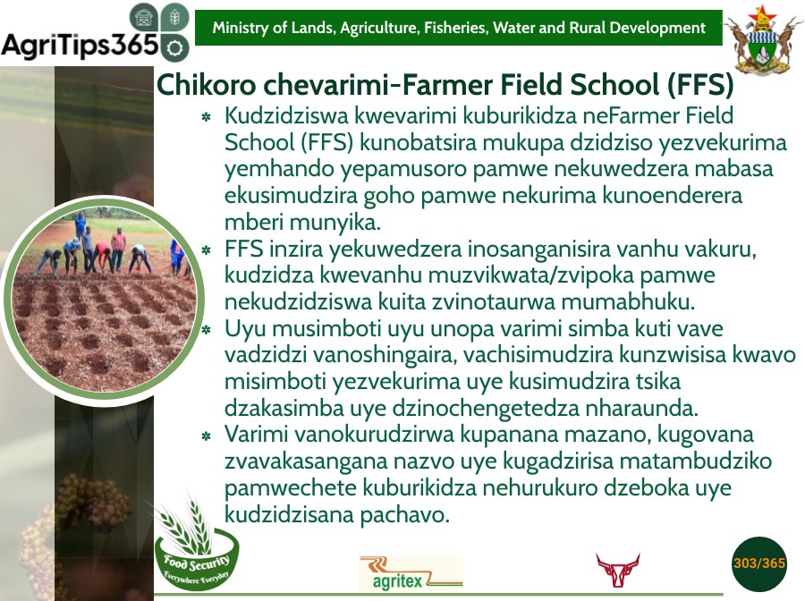 Farmer Field School (FFS) #AgriTips365/303 #foodsecurity Everywhere Everyday @obertjiri