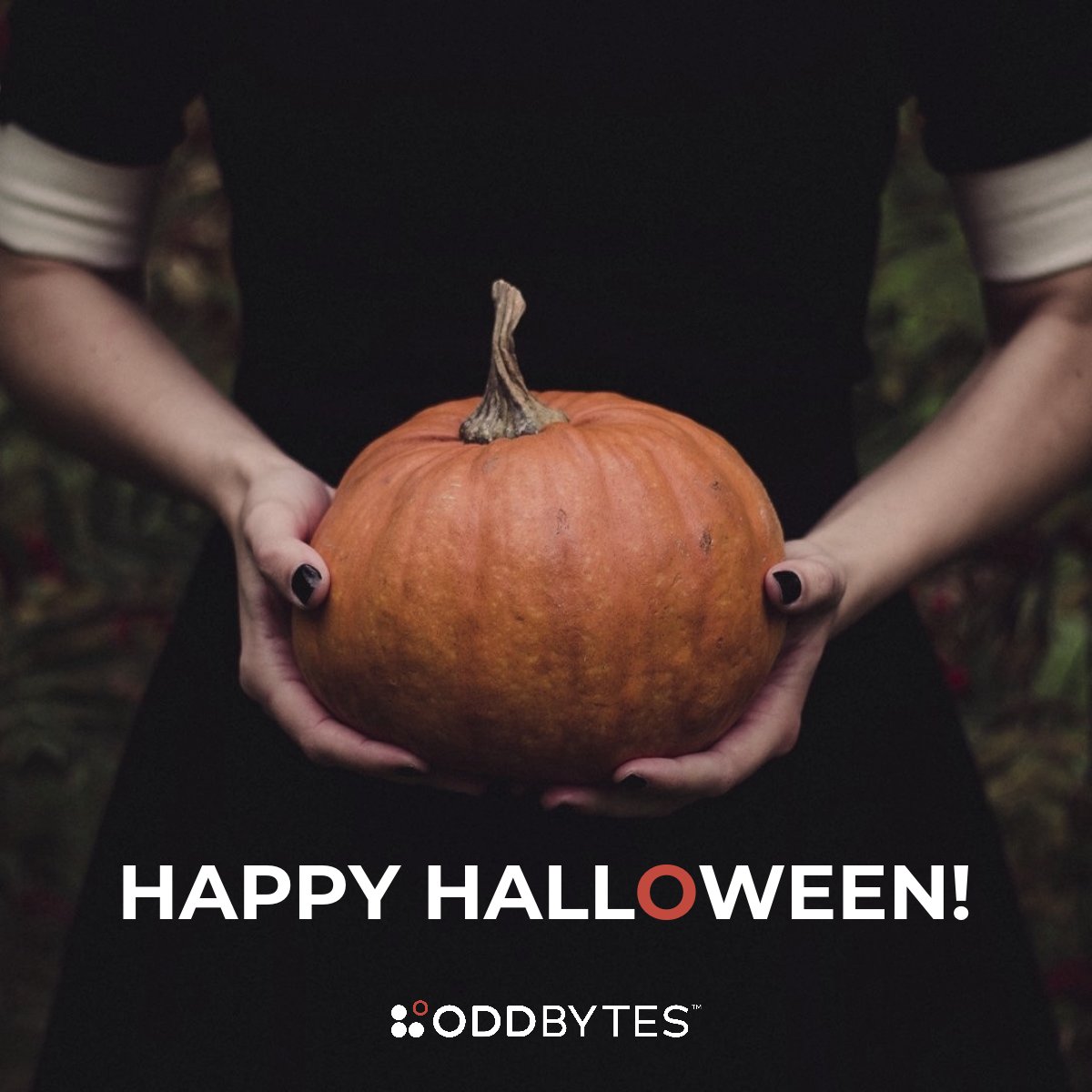 weareoddbytes's tweet photo. May your treats be many and your tricks be few 🎃🍭

#oddbytes #digitalmarketing #productmarketing #affiliatemarketing #happyhalloween https://t.co/j8ksfPRdxb