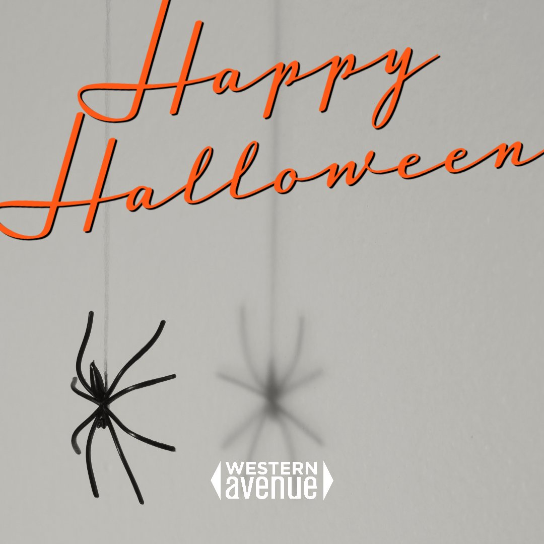 Happy Halloween you ghouls, goblins, and ghosts

#westernavenueokc #happyhalloween #shouls #ghosts #goblins