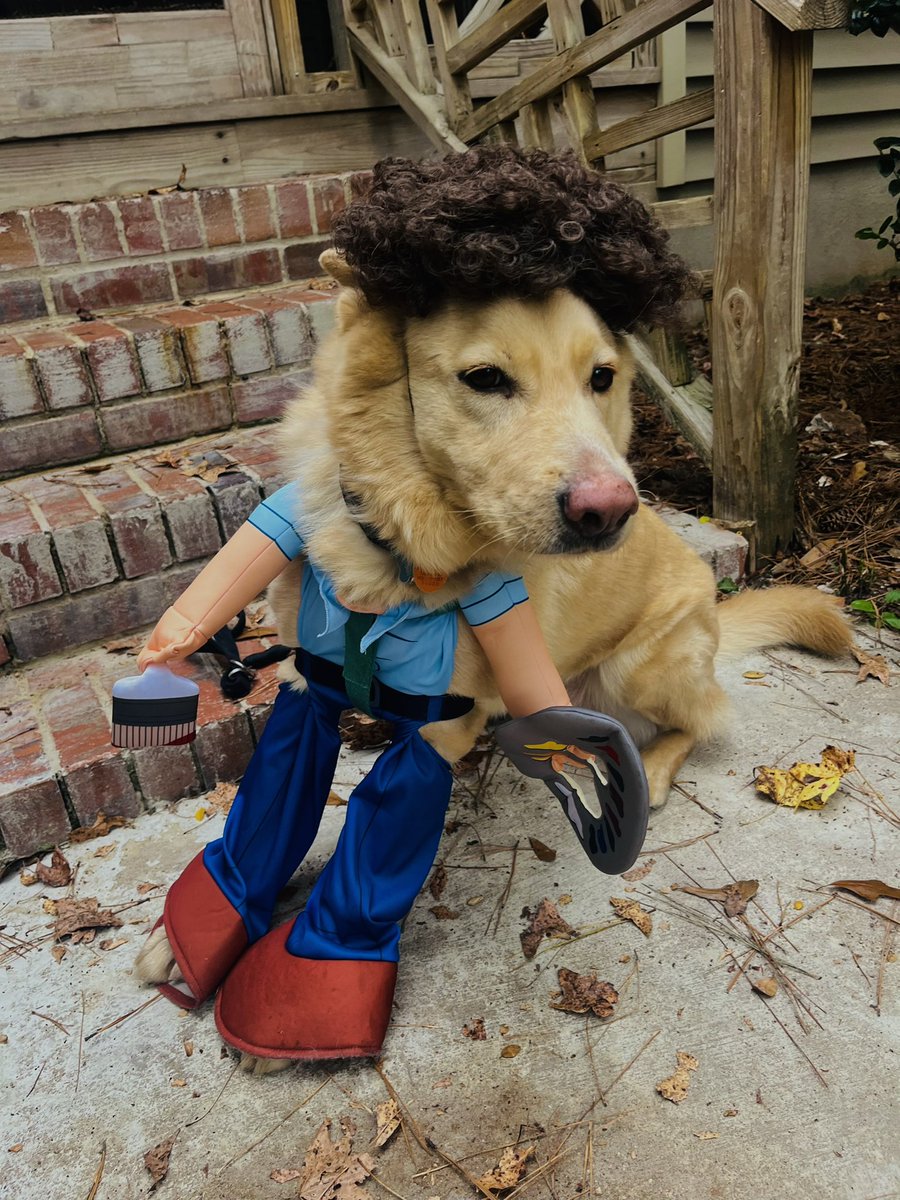 Bob Ross is enjoying his day on campus trick-or-treating for pets