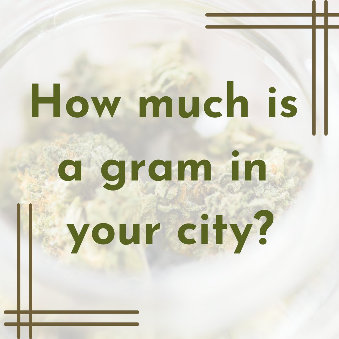 Cannabis Training University tweet media