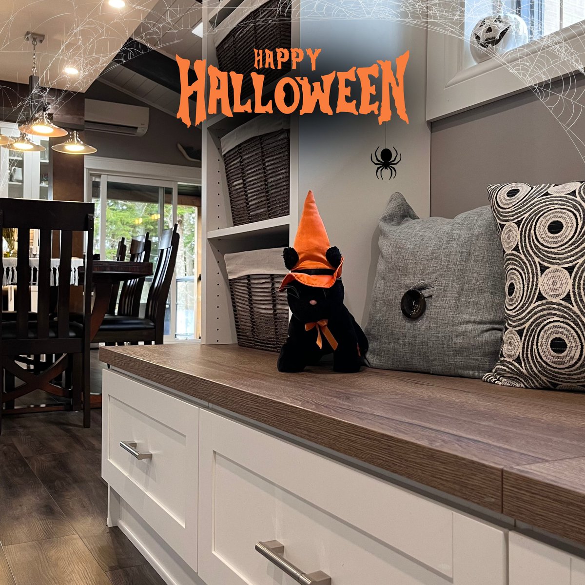 Wishing everyone a safe and happy Halloween from us and our little friend! 🐈‍⬛🎃👻 (Click like for a surprise🎃)

#Halloween
