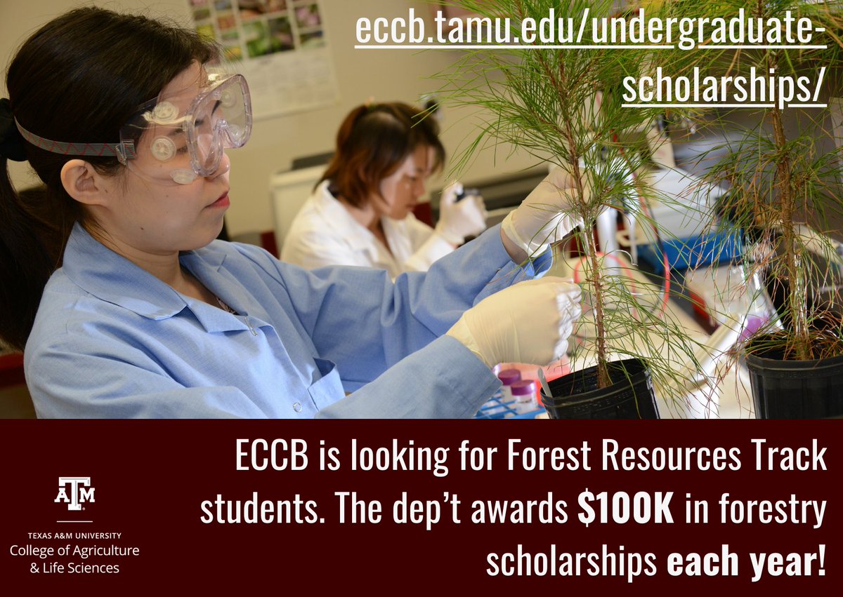 We're looking for students in our Forest Resources Track. We have scholarship money available. For info on our forestry classes, eccb.tamu.edu, or for scholarships, eccb.tamu.edu/undergraduate-…