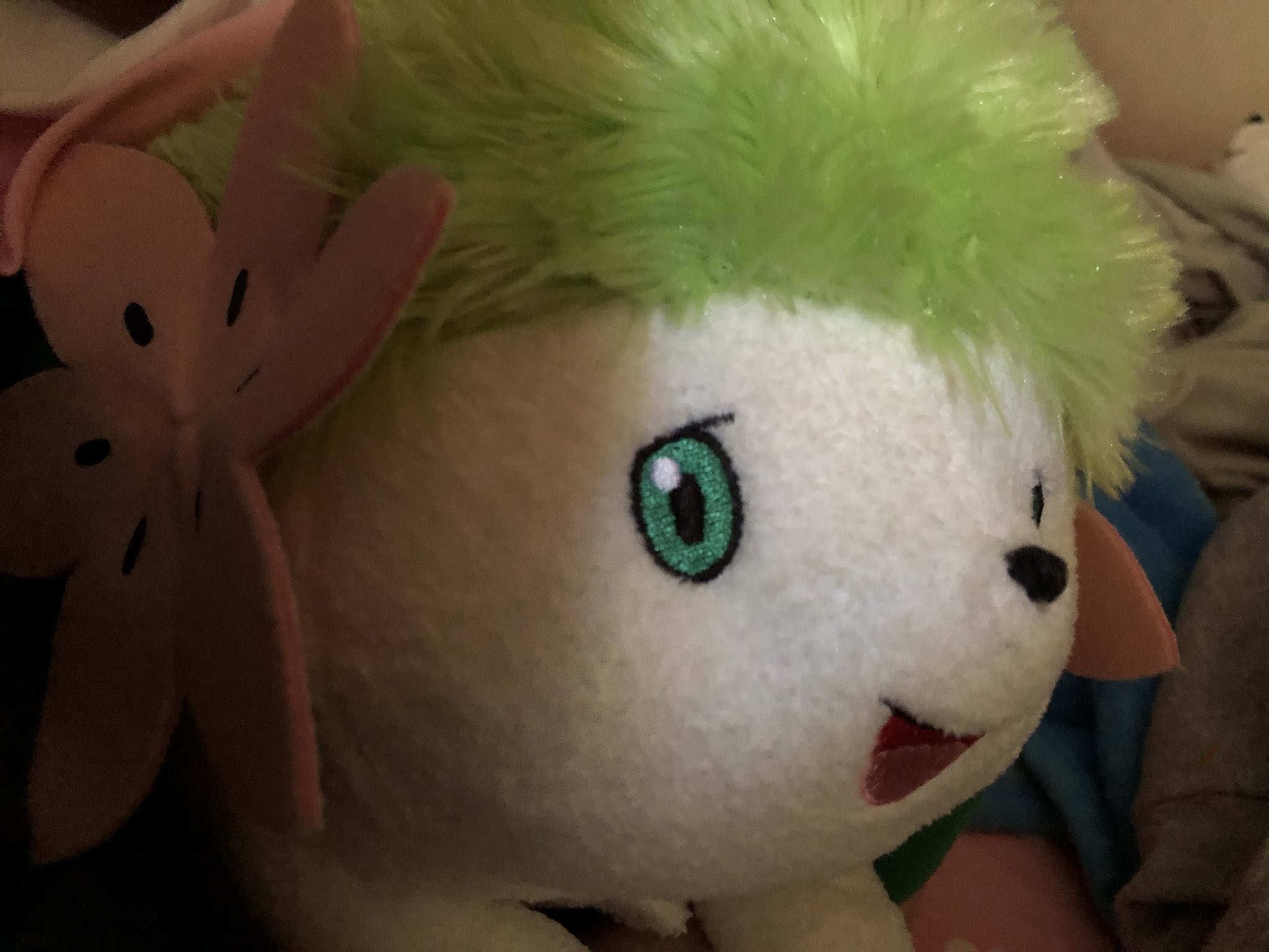 bweepy ✨ on X: ✨shiny shaymin ✨ #pokemon