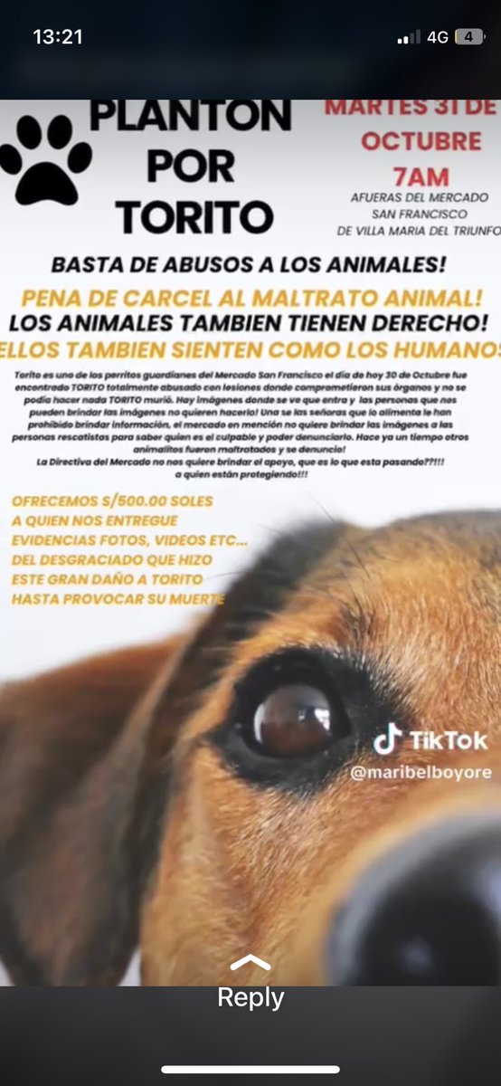 MaaleGuerra's tweet photo. A todos los que fueron a Alcanfores a hacerle show a la tía loca, espero verlos por ahí, desde aquí mis pensamientos por Torito y todos los animalitos indefensos, que se haga justicia! https://t.co/ikanTVi203