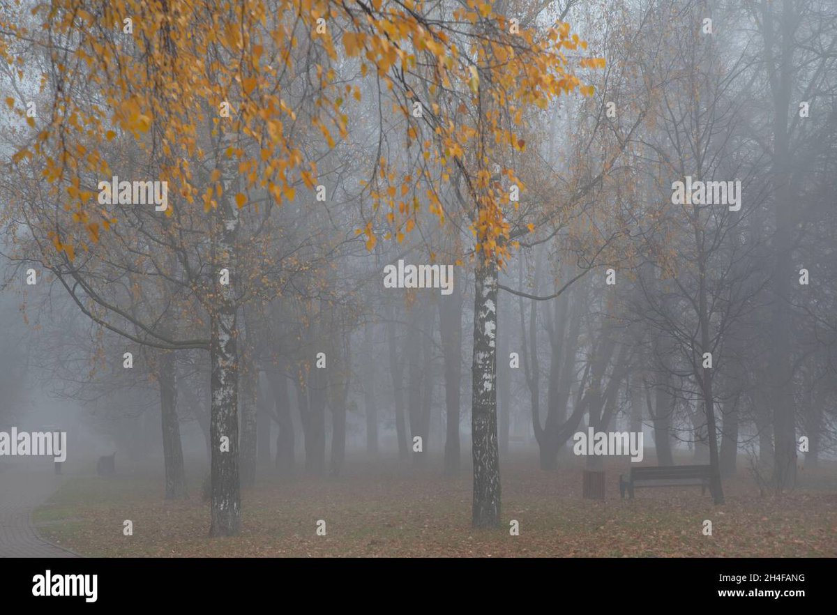 binorable's tweet photo. #AlamyPOTM #AlamyAutumnal
IDs: 2H4FANG, 2A4AWKM, 2A1RJK9, 2AXNW86
@AlamyContent https://t.co/rFrp7M2udN