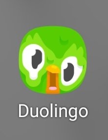 IceCofee_ngc's tweet photo. Tf happened to duolingo😭😭 @duolingo https://t.co/t3gdocHR8w