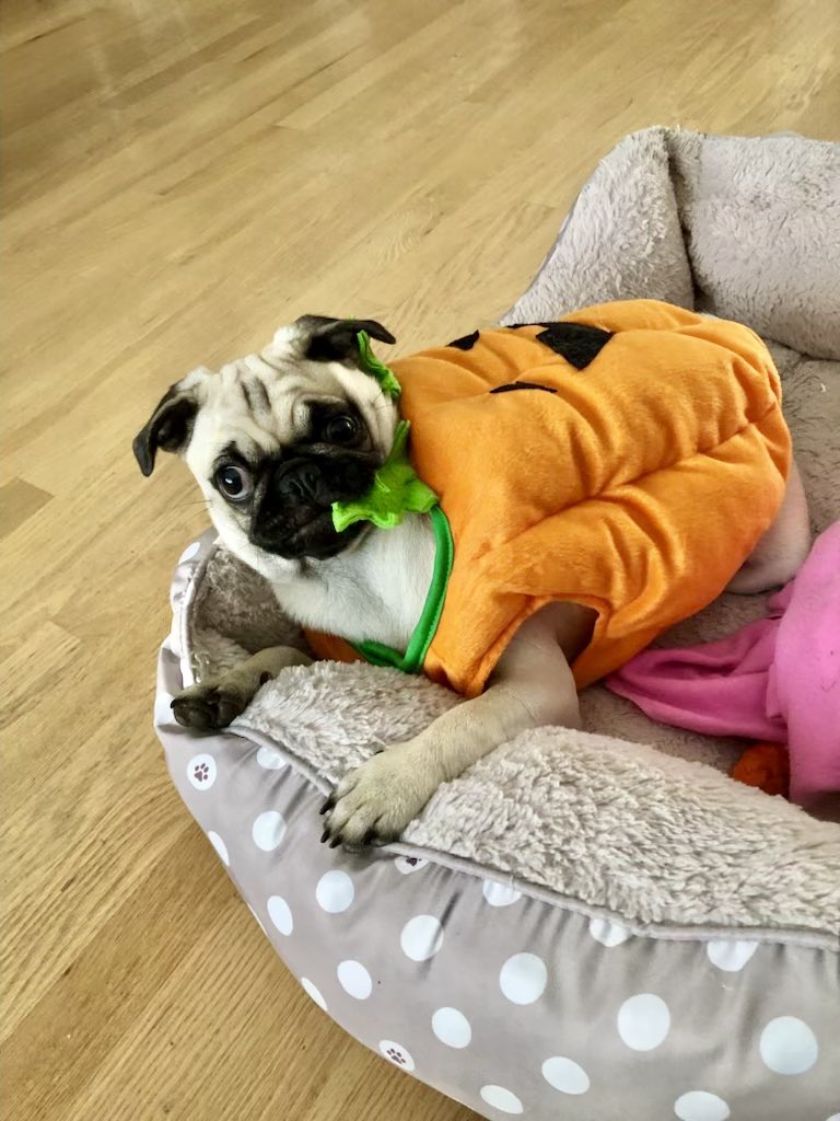 Jeremy Melhuish tweet media